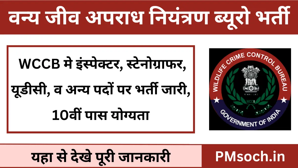 WCCB New Bharti 2025